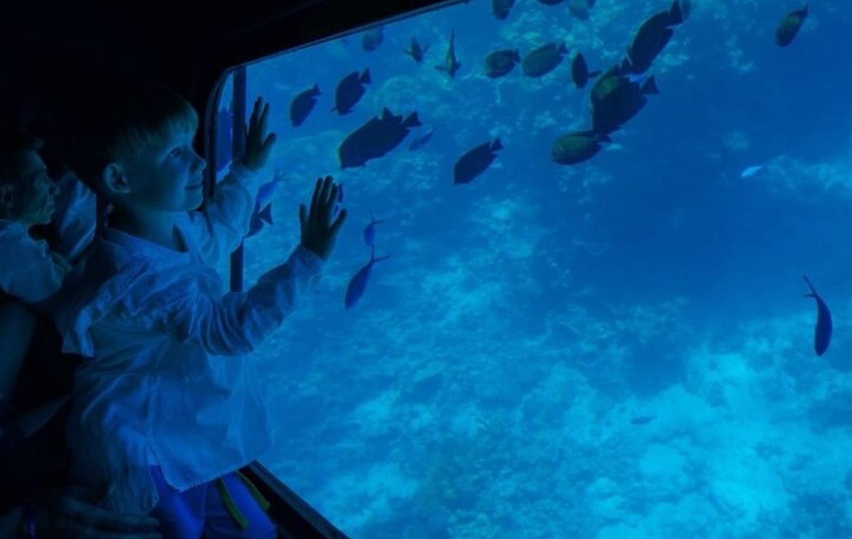 Semi Submarine under water Tour With Transfer in Sharm El-Sheikh