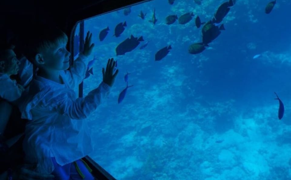 Semi Submarine Underwater Tour in Sharm El-Sheikh