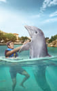 Riviera Maya Puerto Aventuras - Dolphin Connection 2