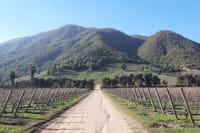 Private Colchagua Valley wine tour all inclusive from Santiago 2