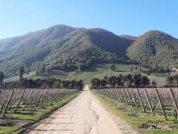 Private Wine Tour of Colchagua Valley from Santiago