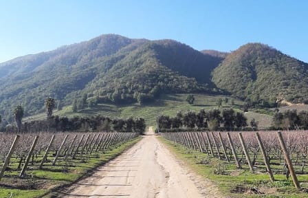 Private Colchagua Valley wine tour all inclusive from Santiago