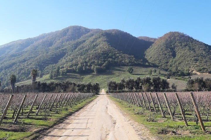 Private Colchagua Valley wine tour all inclusive from Santiago 2