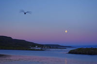Strandir Adventure Private Tour 9