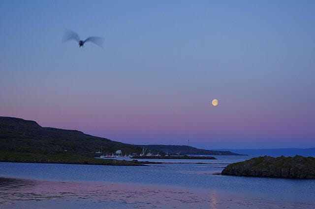 Strandir Adventure Private Tour 9