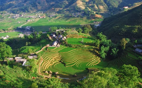 Three-Day Trekking Adventure in Lào Cai, Vietnam