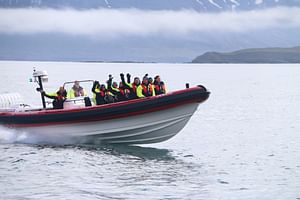 Express Whale Watching From Dalvík