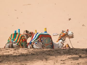Private 3-Day Adventure from Cairo to Siwa Oasis