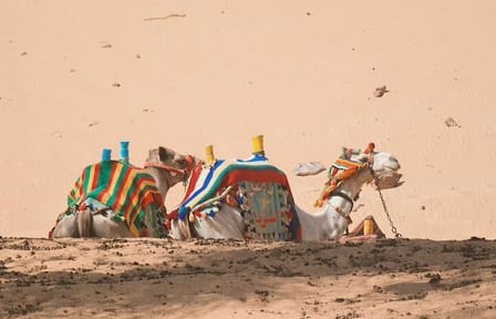 Private 3-Day Adventure from Cairo to Siwa Oasis