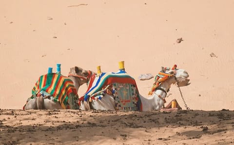 Private 3-Day Adventure from Cairo to Siwa Oasis