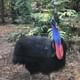 Bird Park
