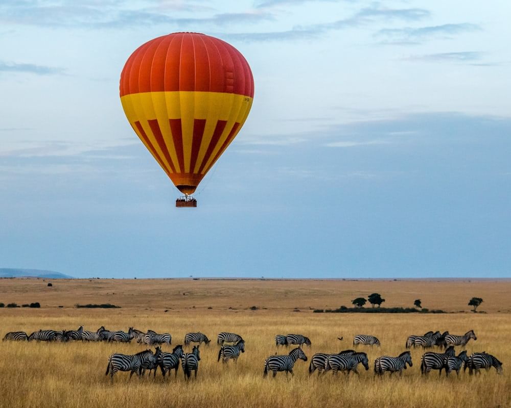 3-Day Amboseli and Tsavo West from Nairobi
