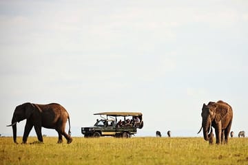 5-day African Safaris and Gorilla Treks Private Tour
