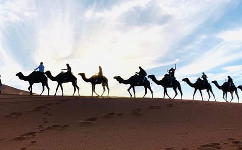 Three-Day Private Adventure from Marrakech to Merzouga