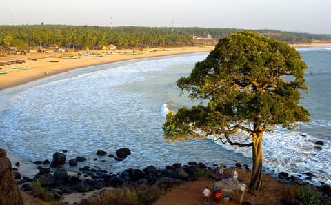 Cultural Tour of Alappuzha, Bekal, and Goa Velha