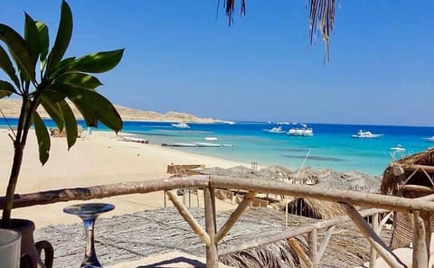 Snorkeling Adventure at Coral Reefs in Hurghada, Egypt