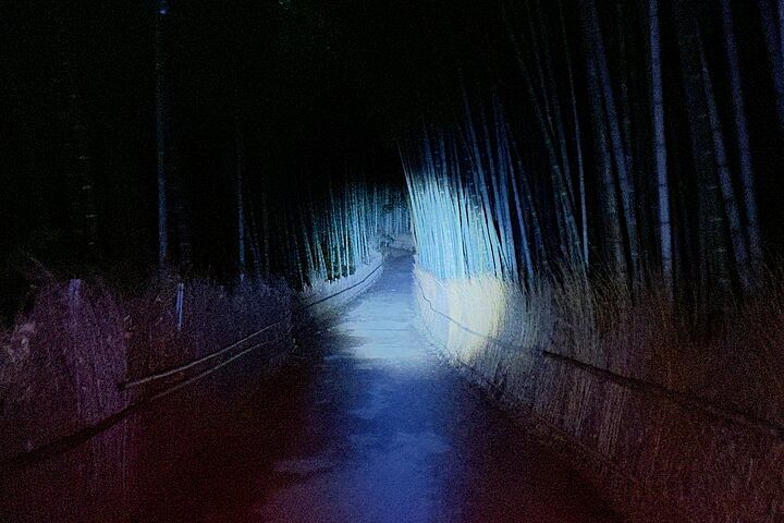 Ghost Hunting in the Bamboo Forest - Arashiyama Kyoto at night