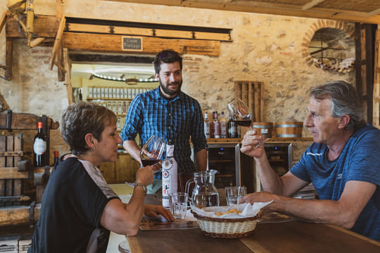 Wine tasting in Valpolicella Classica: the cradle of Amarone