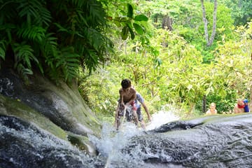 Elephant Poo Poo Paper Park and Sticky Waterfall Tour in Mae Raem