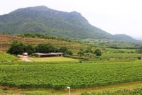 Hotspots of Hua Hin & Hua Hin Hills Winery 7