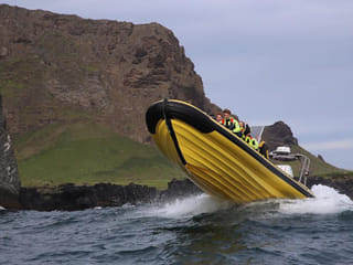 Puffin Tour by RIB Speedboat from Downtown Reykjavik, photo 16