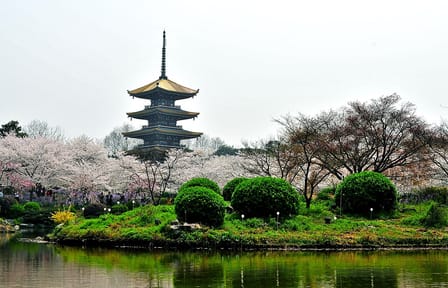 Cycling Tour of East Lake and Gardens in Wuhan