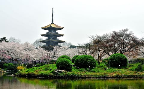 Cycling Tour of East Lake and Gardens in Wuhan