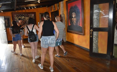 Day Trip to Nine Mile and Dunn's River Falls from Falmouth