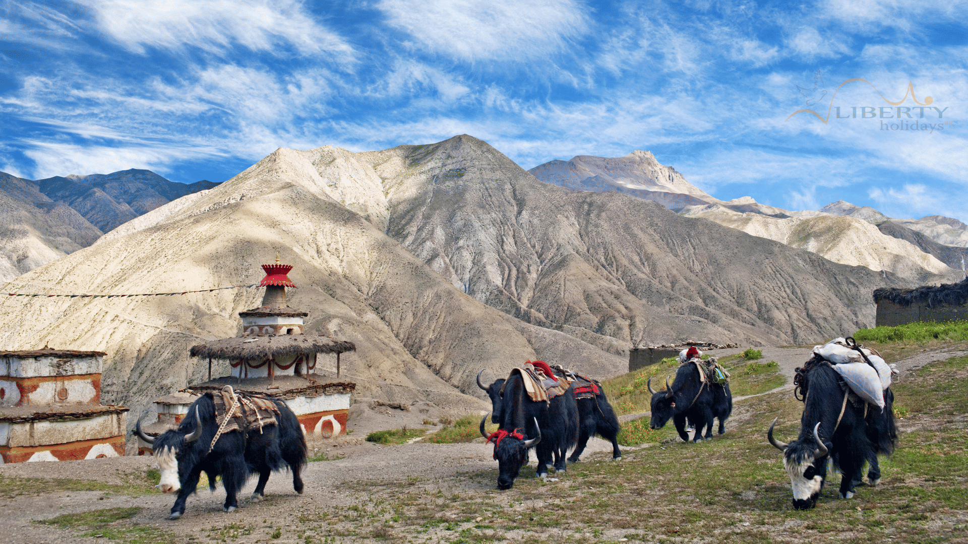 Journey to the Hidden Shangri-La: 22 Days in Upper Dolpo