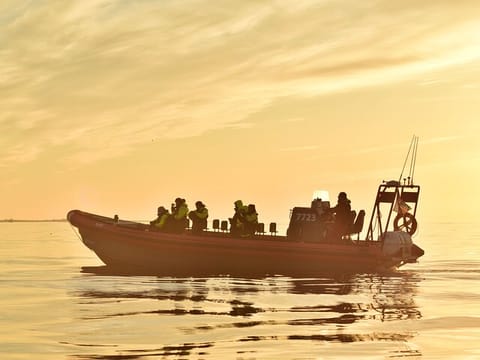 Húsavík: Midnight-Sun Whale Watching, photo 2