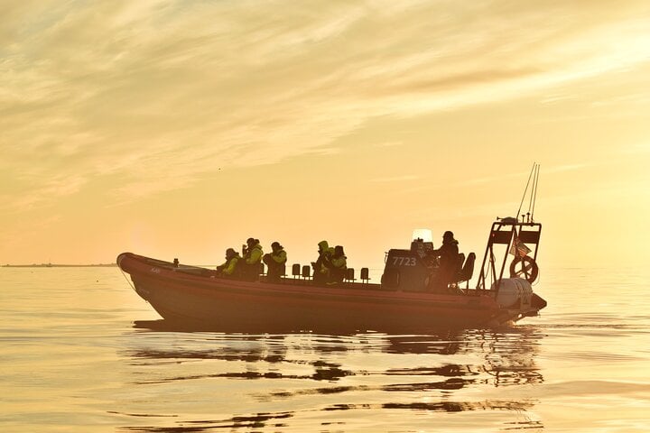 Húsavík: Midnight-Sun Whale Watching, by Húsavík Adventures