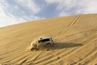 Dubai Evening Desert Safari with Dune Bashing & BBQ Dinner 1