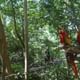 Bird Park