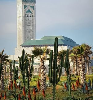 Excursion to Casablanca from Marrakech