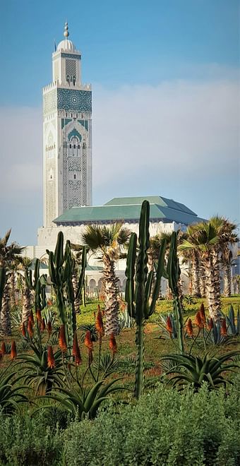 Excursion à Casablanca depuis Marrakech 