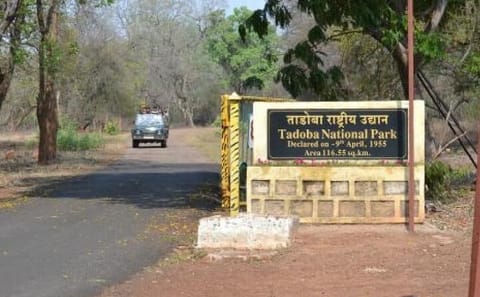 Wildlife Safari Tour in Tadoba, Pench, Kanha & Bandhavgarh