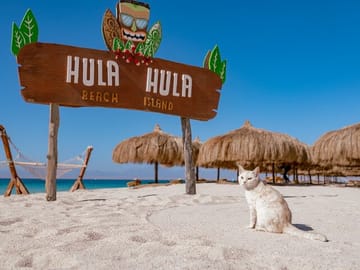 Snorkeling Tour at Hula Hula Island in Hurghada with Lunch