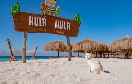 Snorkeling Tour at Hula Hula Island in Hurghada with Lunch