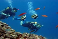 Scuba Diving Trip Hurghada