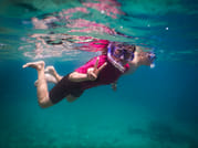 Snorkeling Tour: Discover Sydney’s impressive sea life 6