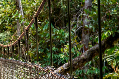 Oxa-02 : Villa Rica Expedition – Coffee Culture and Rainforest Discovery