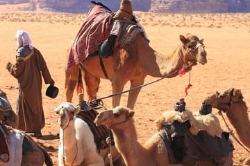 Nubian Village Day Trip with Camel Ride from Aswan