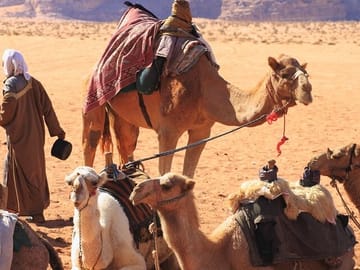 Nubian Village Day Trip with Camel Ride from Aswan