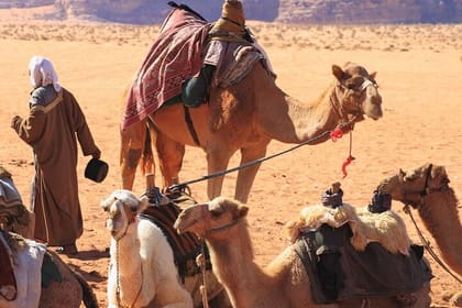 Nubian Village Day Trip with Camel Ride from Aswan