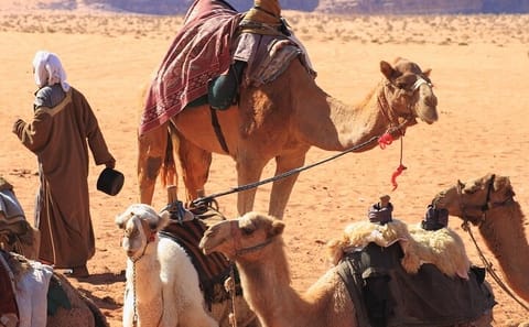Nubian Village Day Trip with Camel Ride from Aswan