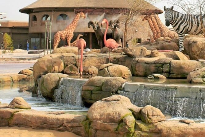Dubai: Safari Park, Your Ultimate Wildlife Adventure!