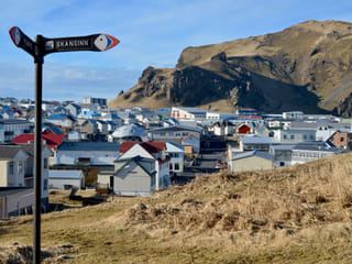 Full Day Private Vestmannaeyjar Tour From Reykjavik, photo 8