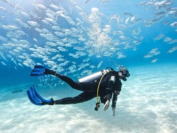 Scuba Diving Experience in Fethiye with Professional Guide