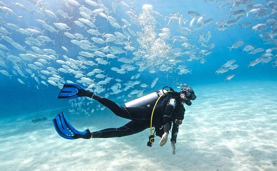 Scuba Diving Experience in Fethiye with Professional Guide
