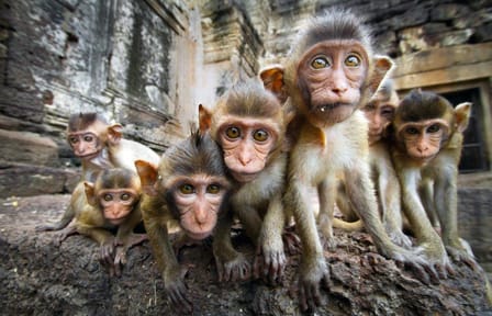 Bangkok and Ancient Capitals, Private Tour